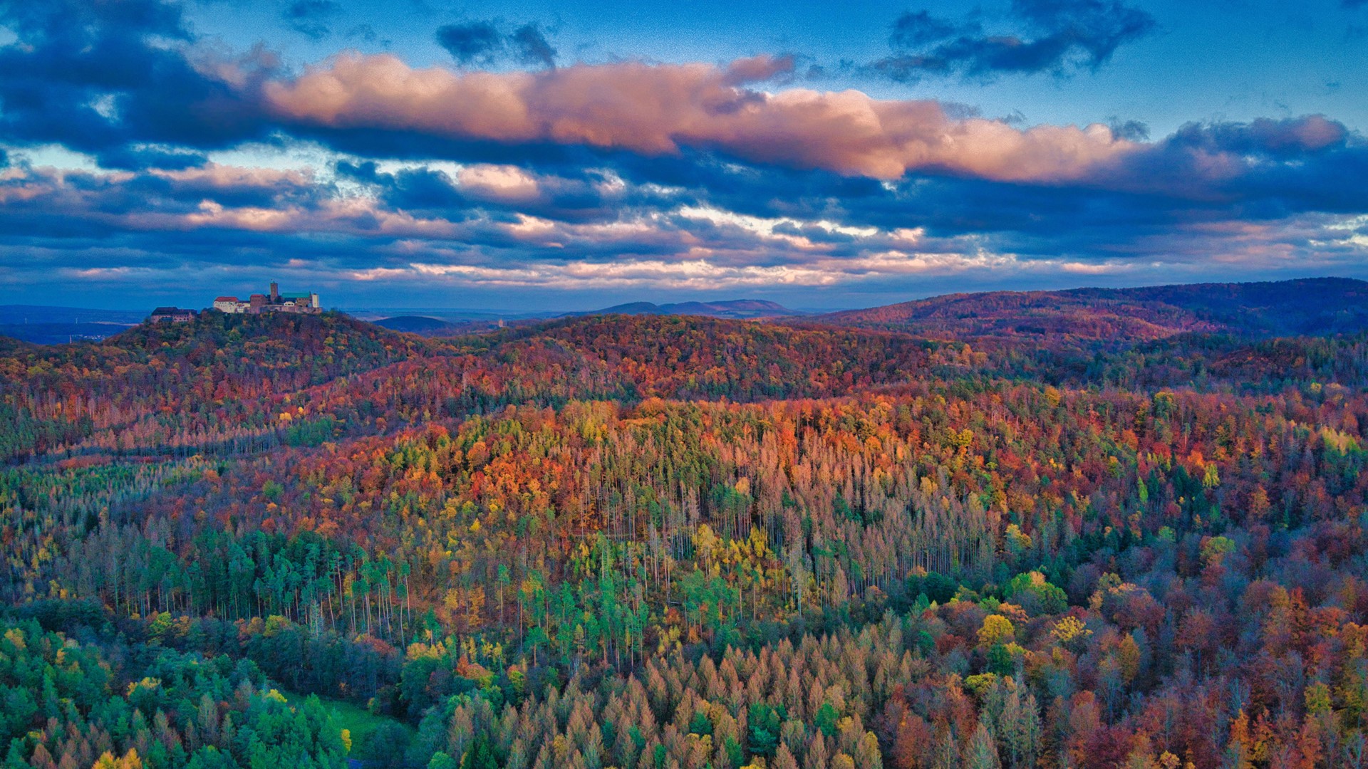 秋天 红叶 森林 风景 电脑 高清壁纸