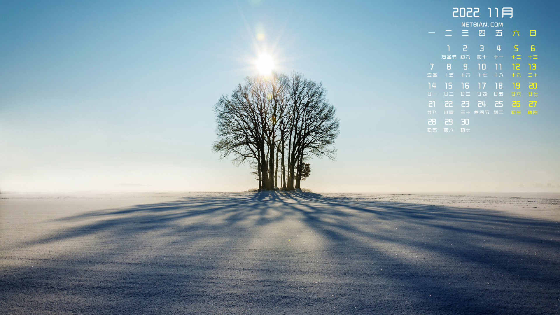 雪地上的树风景2022年11月日历高清壁纸