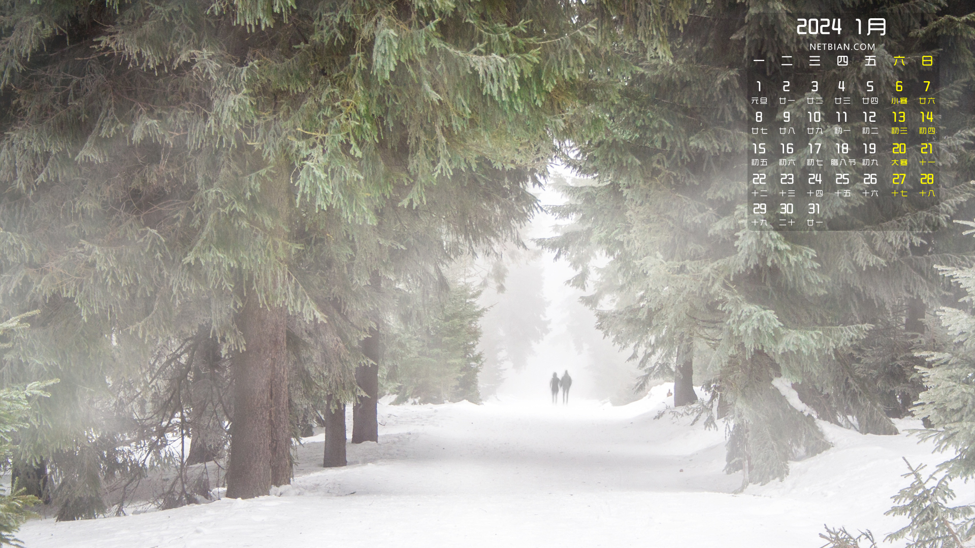 冬天树林雪地散步2024年1月桌面日历高清壁纸精选