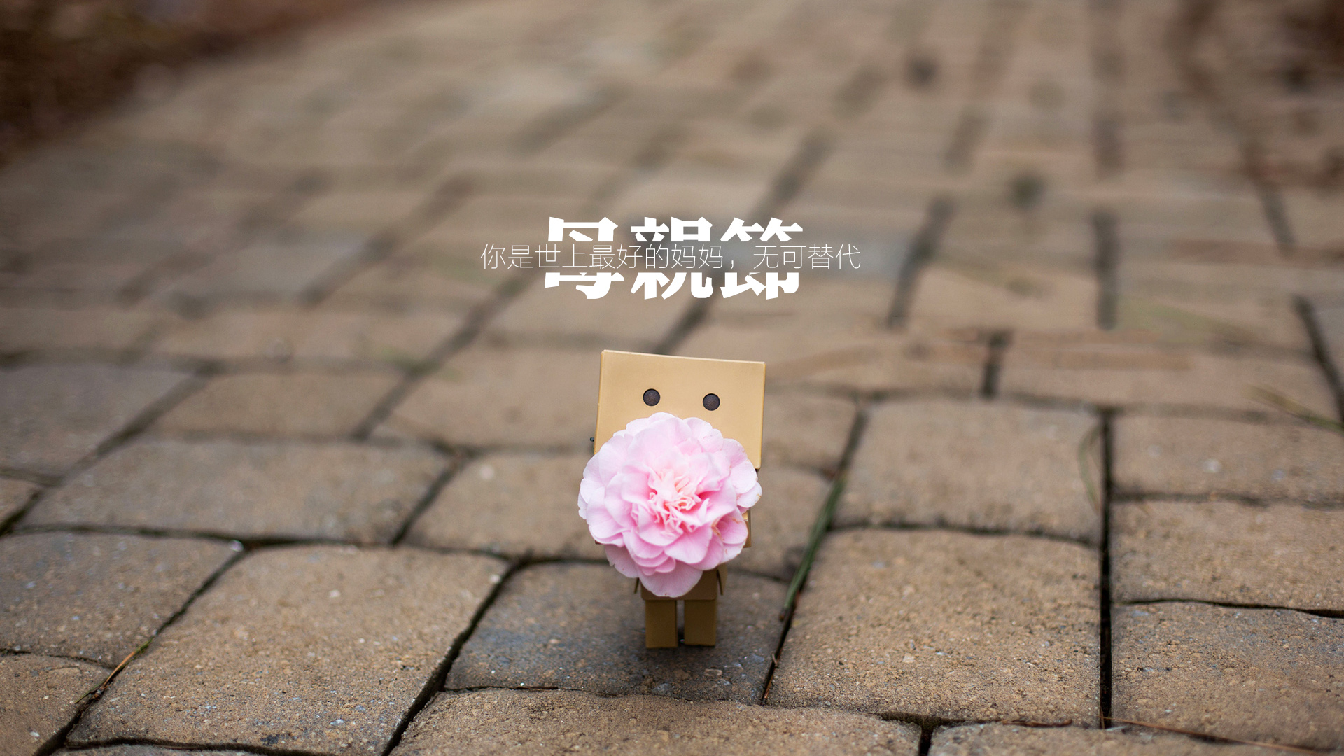 你是世上最好的妈妈，无可代替，母亲节，康乃馨，，纸盒人，桌面高清壁纸