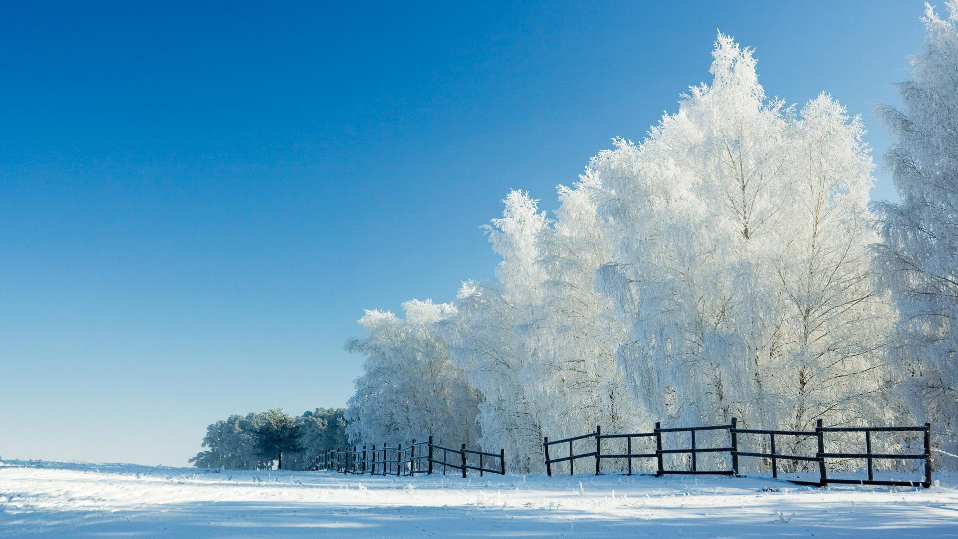 美丽雪景栅栏风景桌面高清壁纸