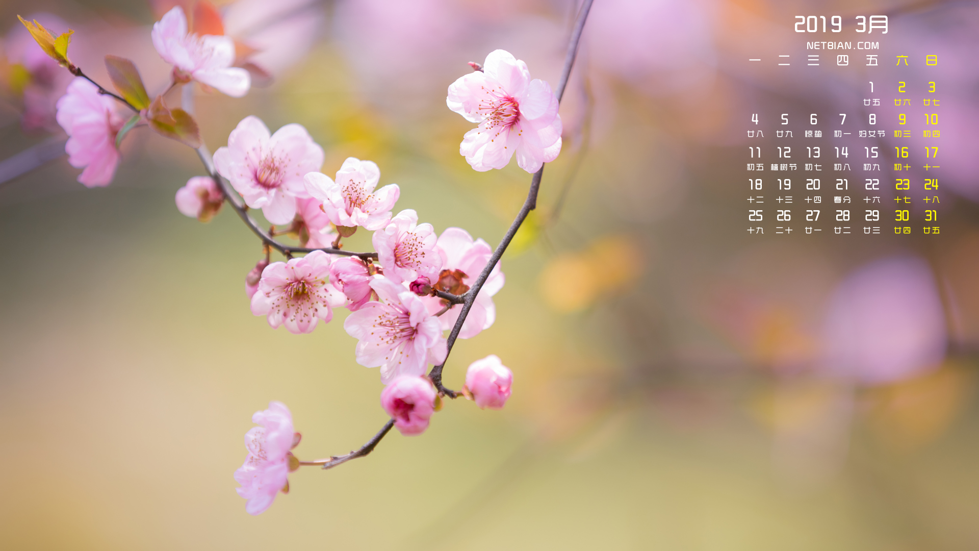 桃花2019年3月日历桌面高清壁纸