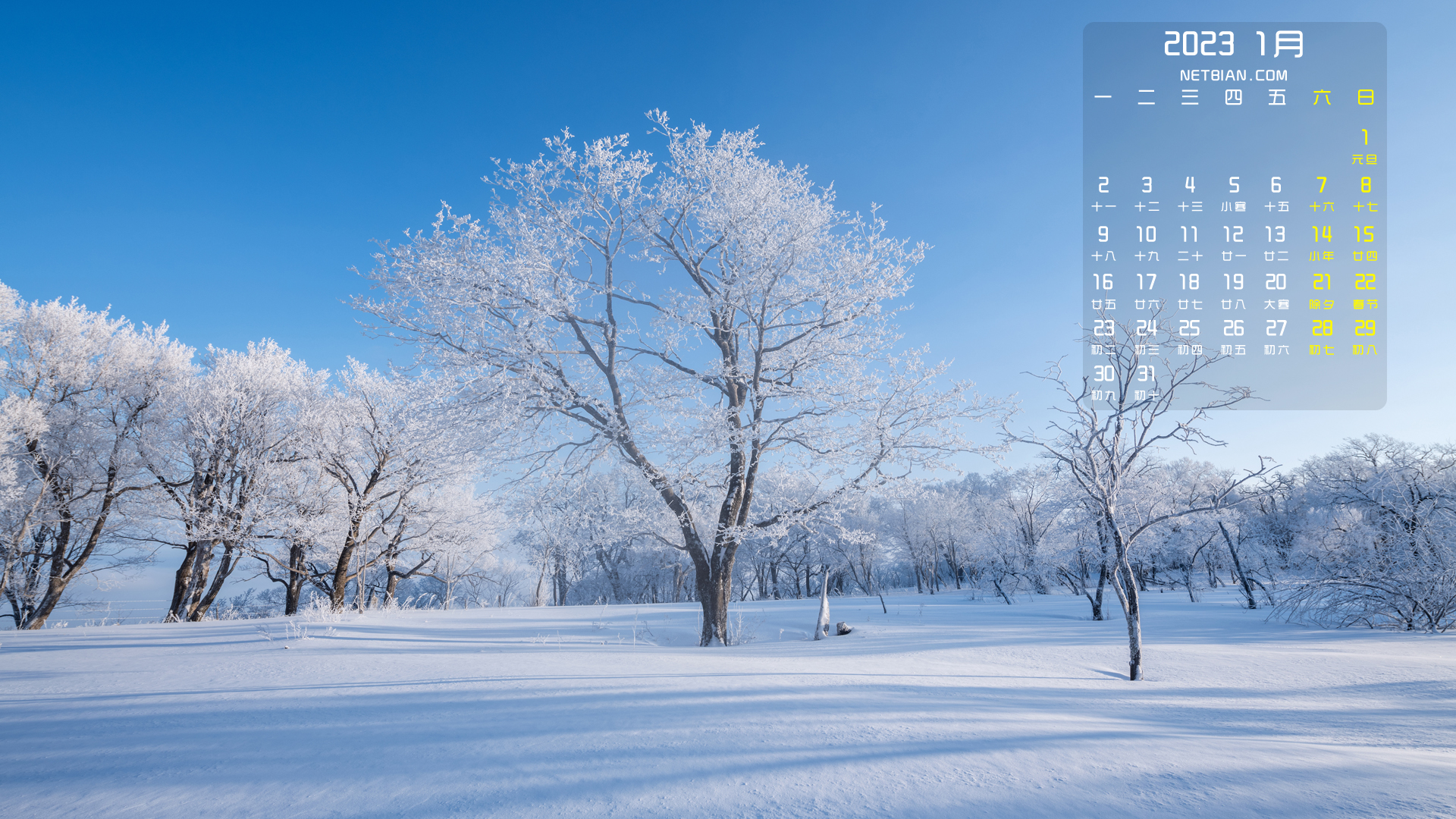 雪景 雪地 树 自然风景2023-1月日历桌面高清壁纸