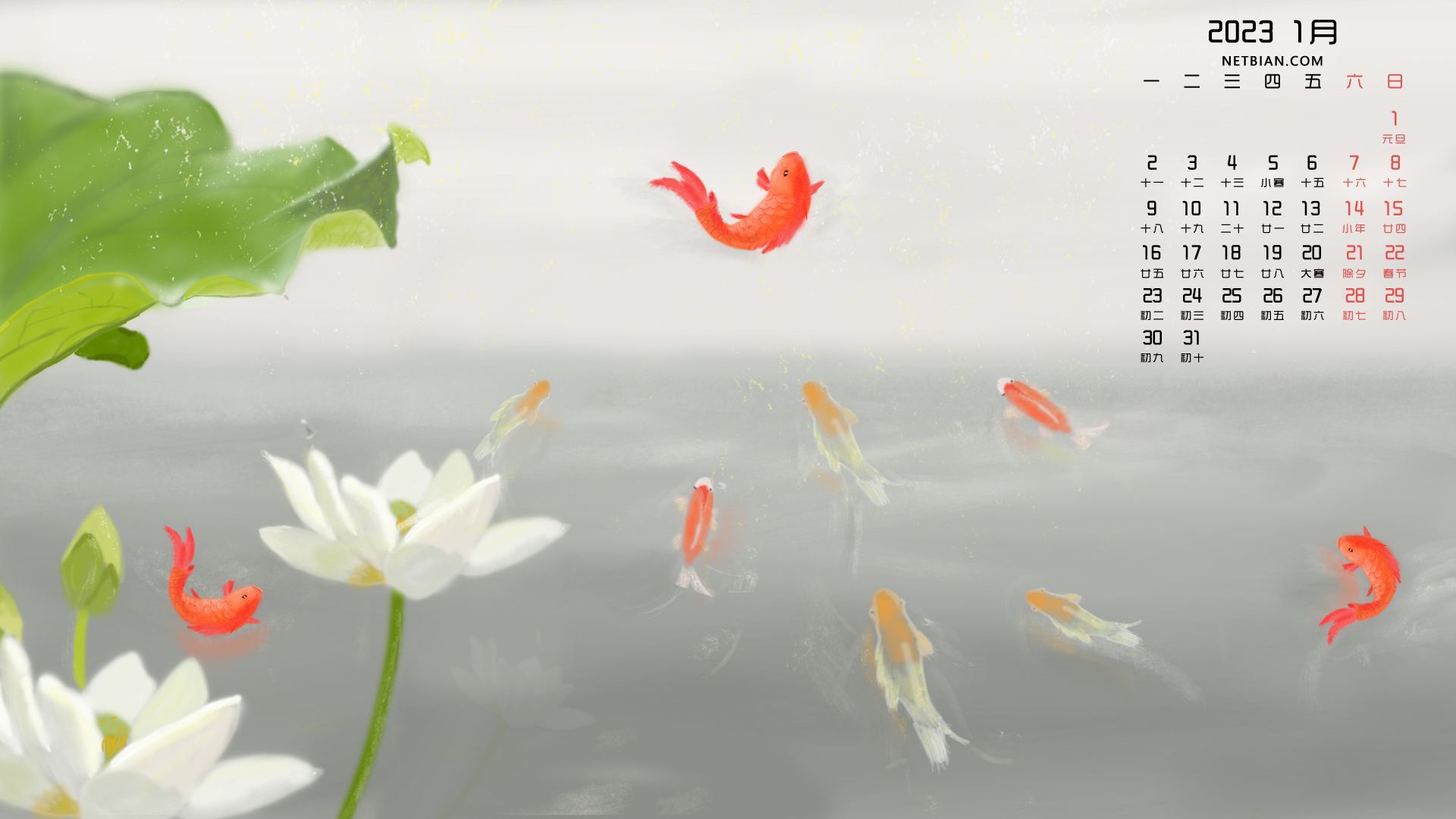 原创 九鱼图 荷花 新年2023-1月日历精选高清壁纸