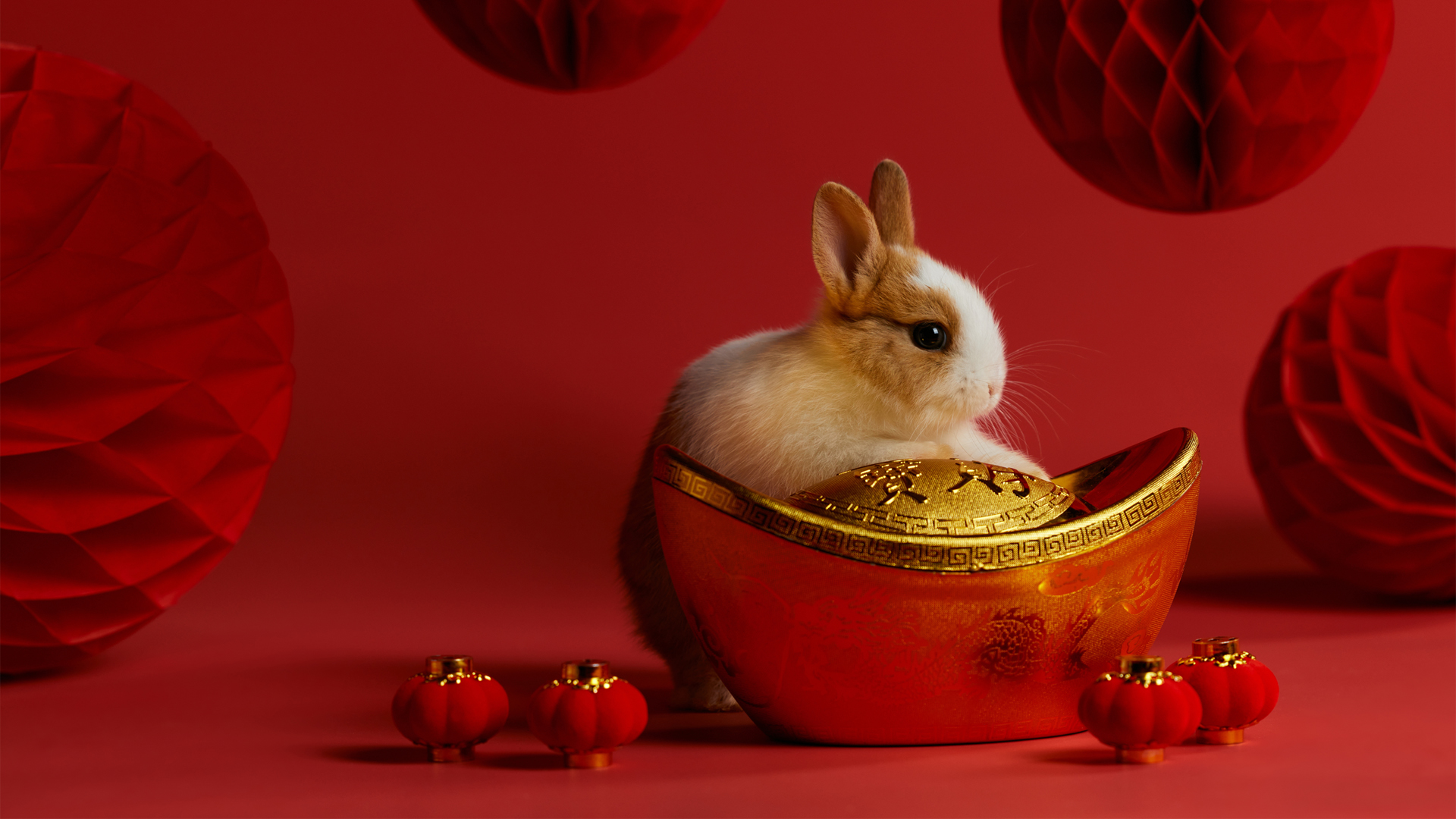 春节 兔子 灯笼 元宝 中国风 红色喜庆 过年 高清壁纸