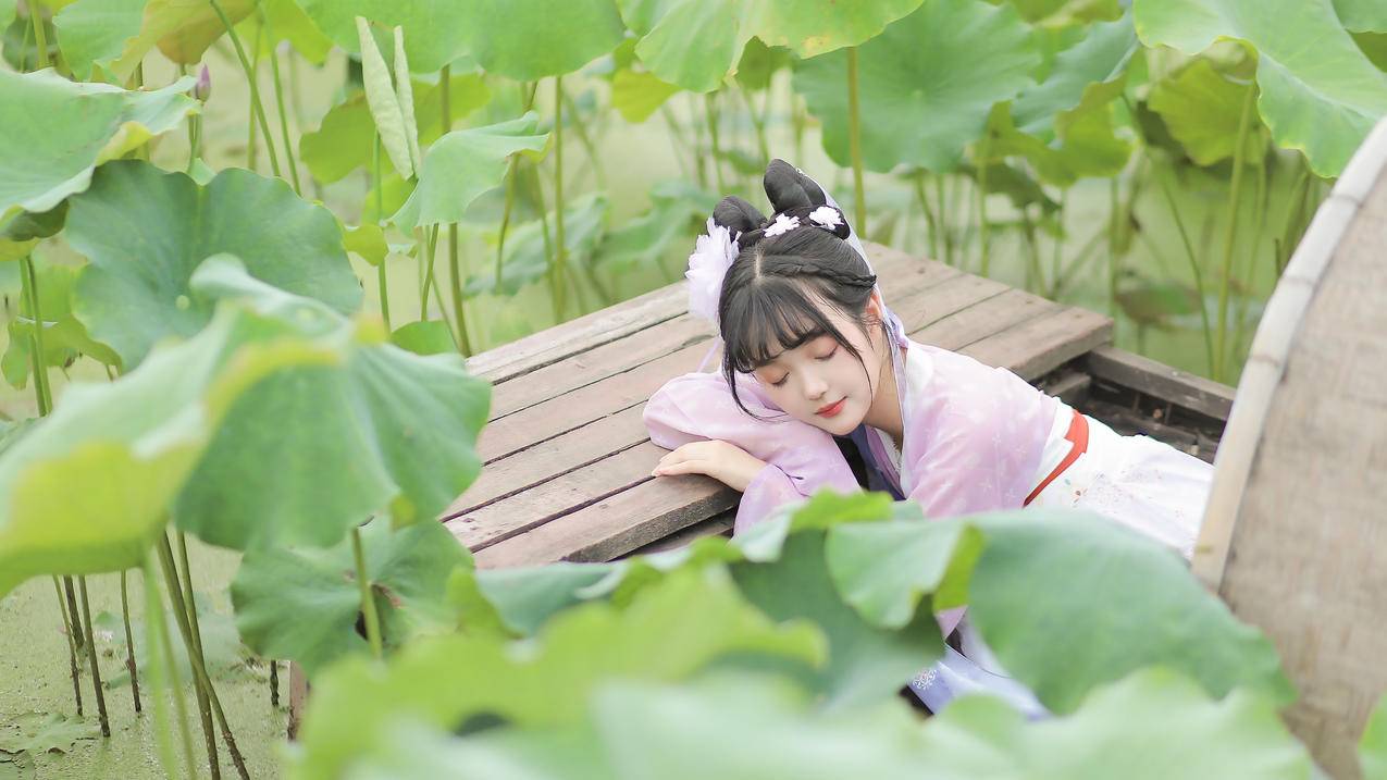 莲花塘 莲花 美女 4k电脑高清壁纸
