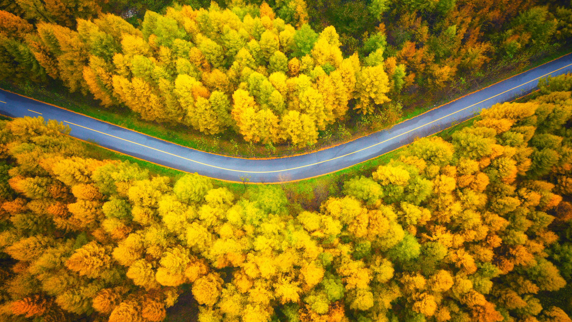 超精选 秋天 风景 公路 摄影 俯视 电脑高清壁纸