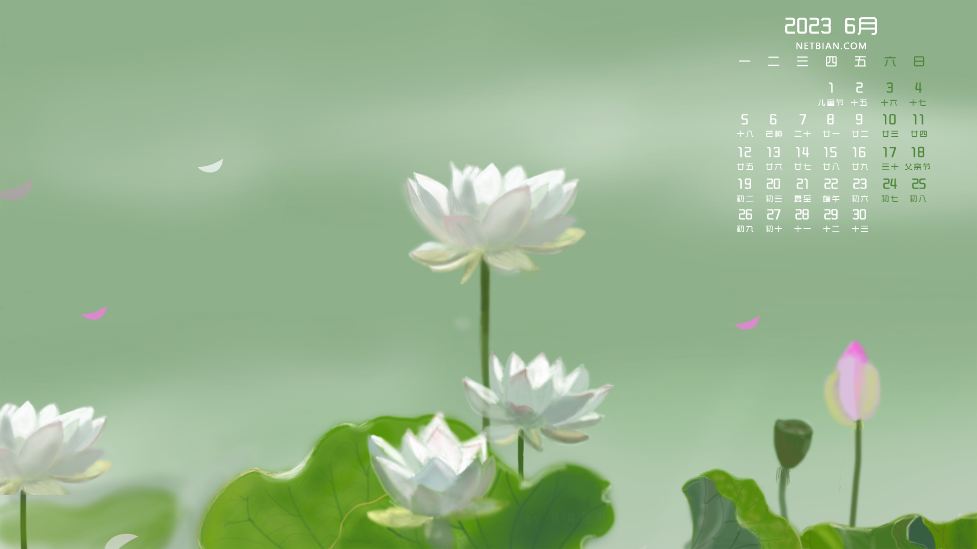 清新荷花 彼岸原创 2023-6月日历精选电脑高清壁纸