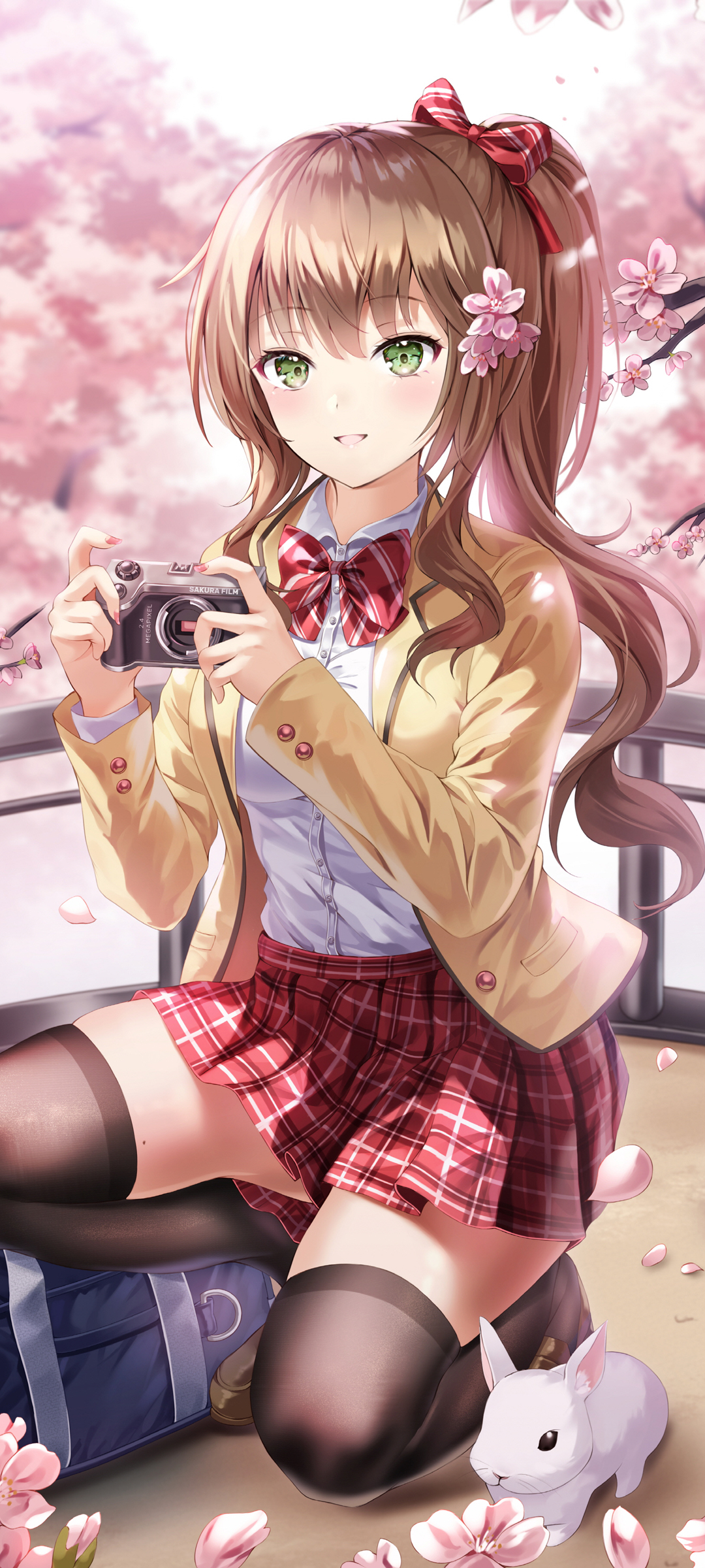 樱花 桜 马尾辫 相机 动漫美女高清手机壁纸