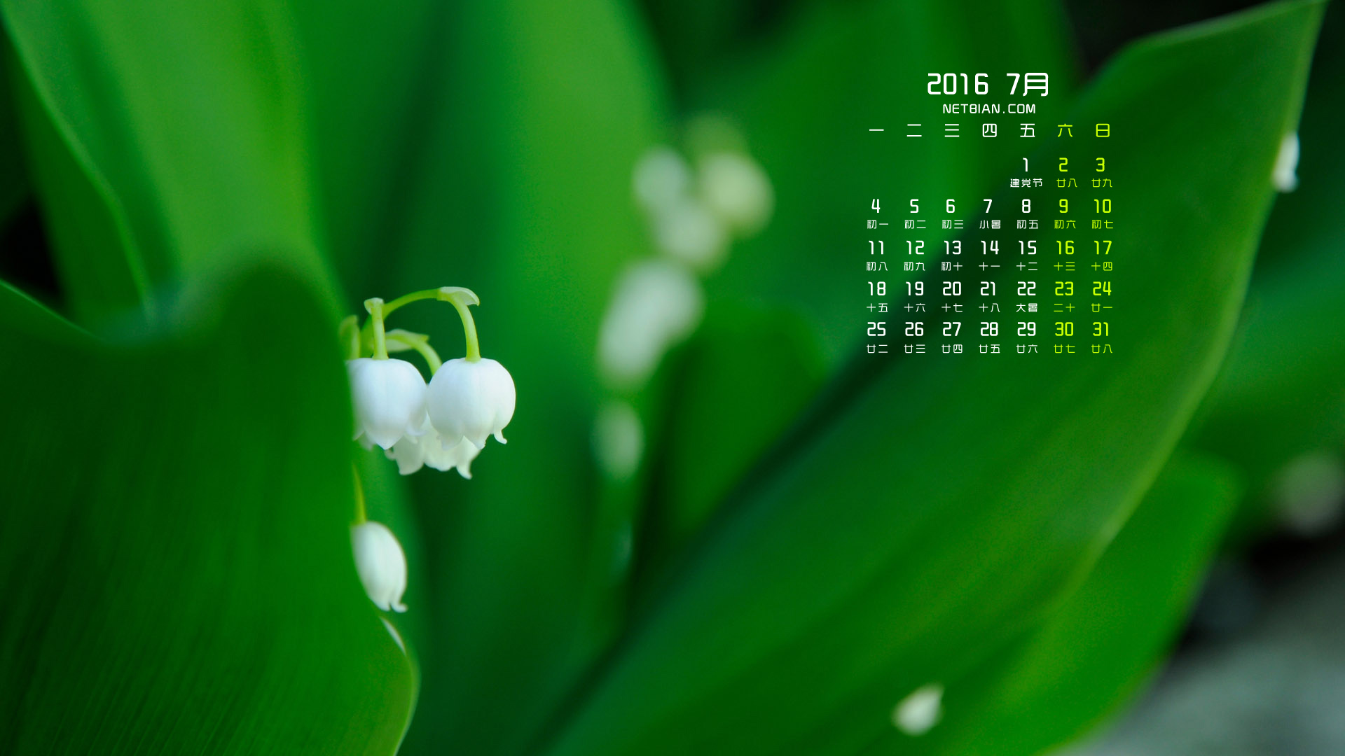绿色护眼风铃草2016年7月日历桌面高清壁纸