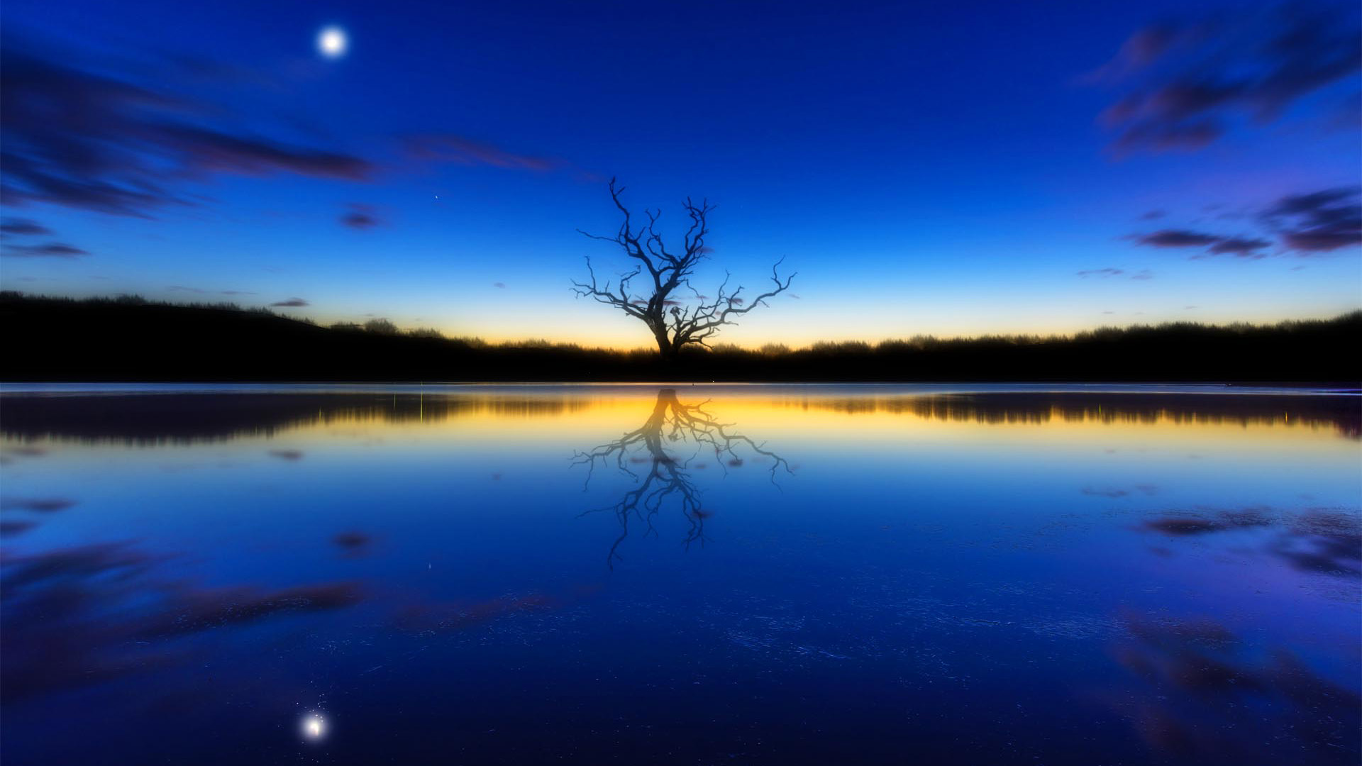 蓝色风景,一棵树,倒映,河水,夕阳美景,月亮,风景桌面高清壁纸
