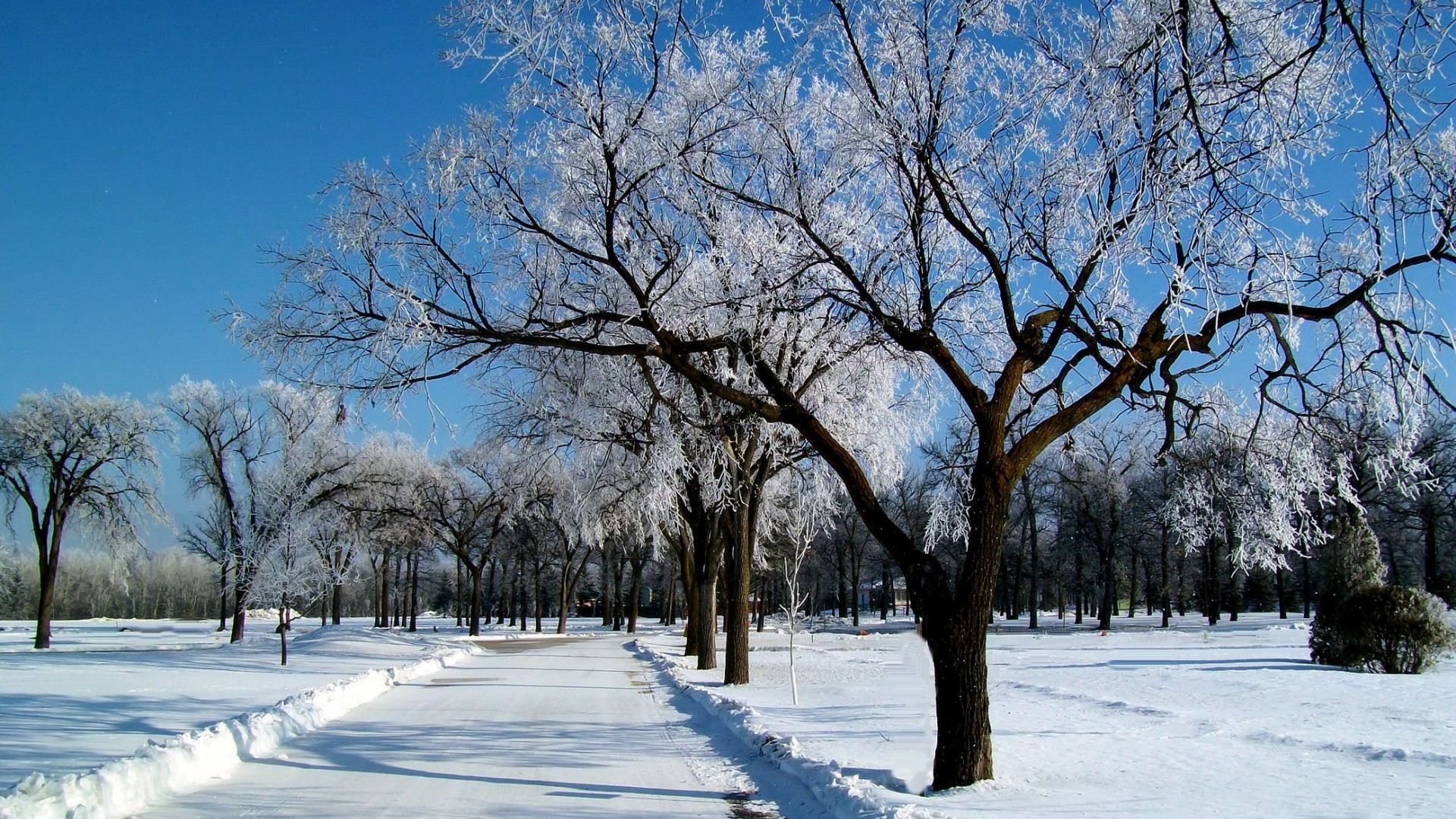 天空，冬天，雪，霜，路，自然，风景图片，高清壁纸