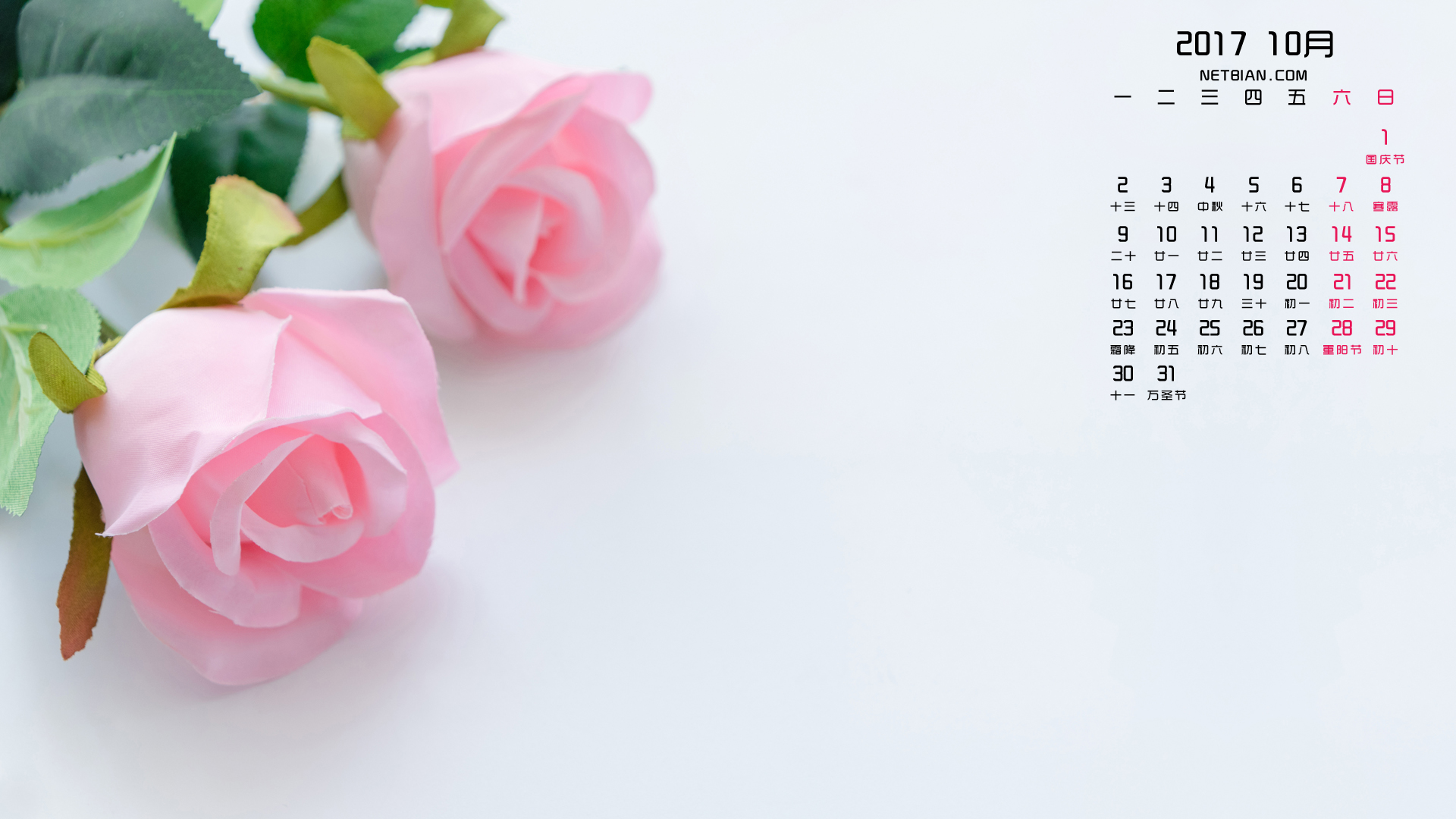 玫瑰花2017年10月日历桌面高清壁纸