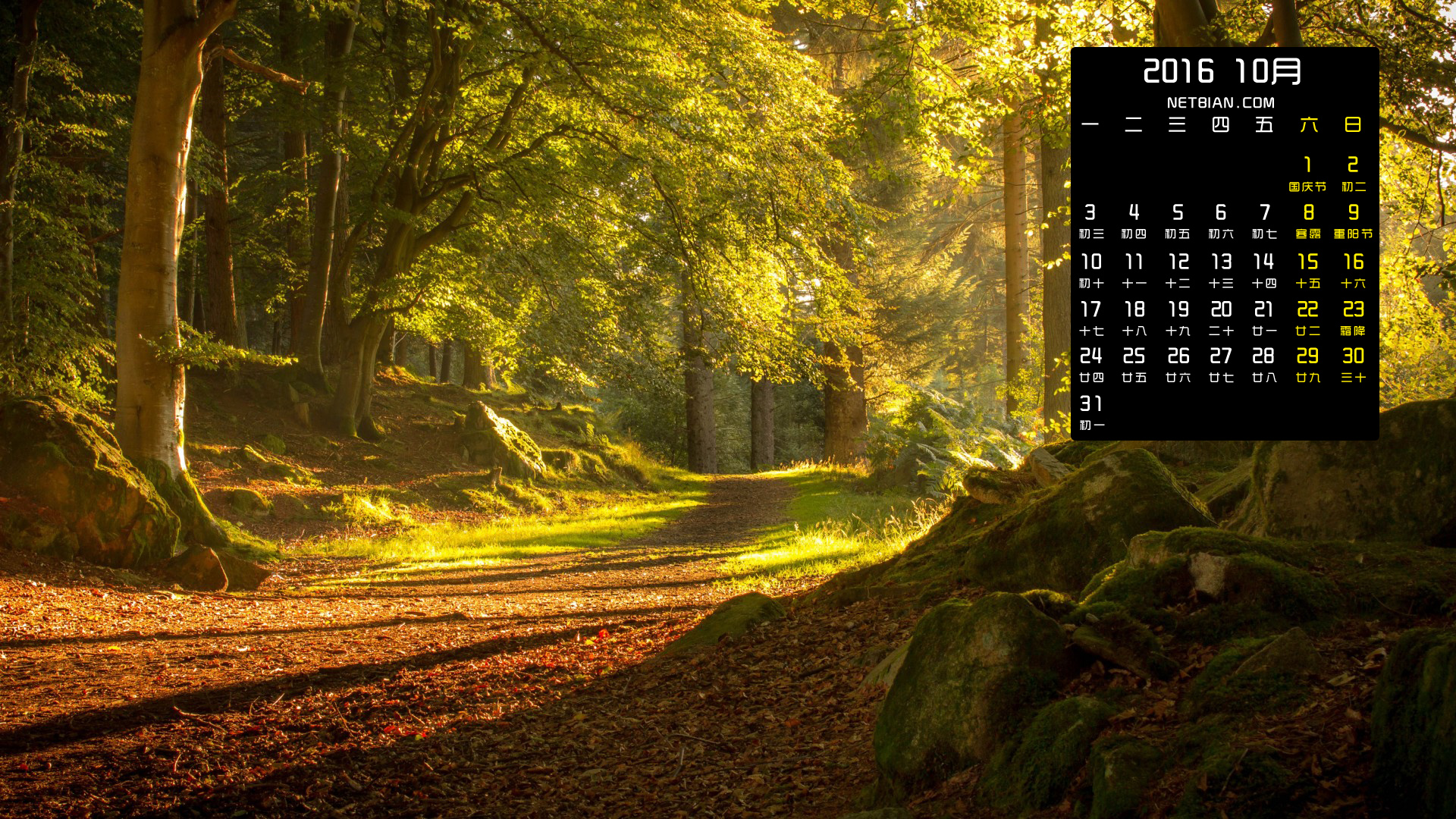 苏格兰秋天森林风景2016年10月日历桌面高清壁纸