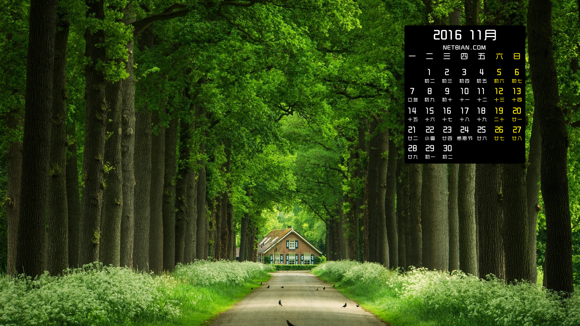绿色森林小巷风景2016年11月日历桌面高清壁纸