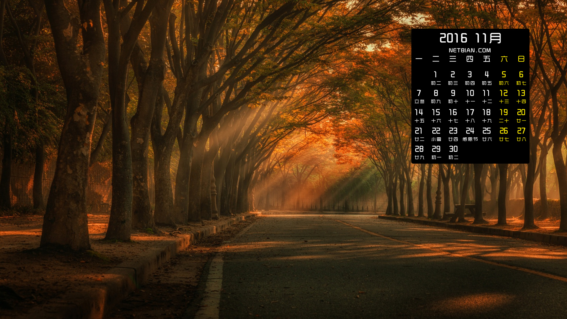 秋天树木道路风光2016年11月日历桌面高清壁纸