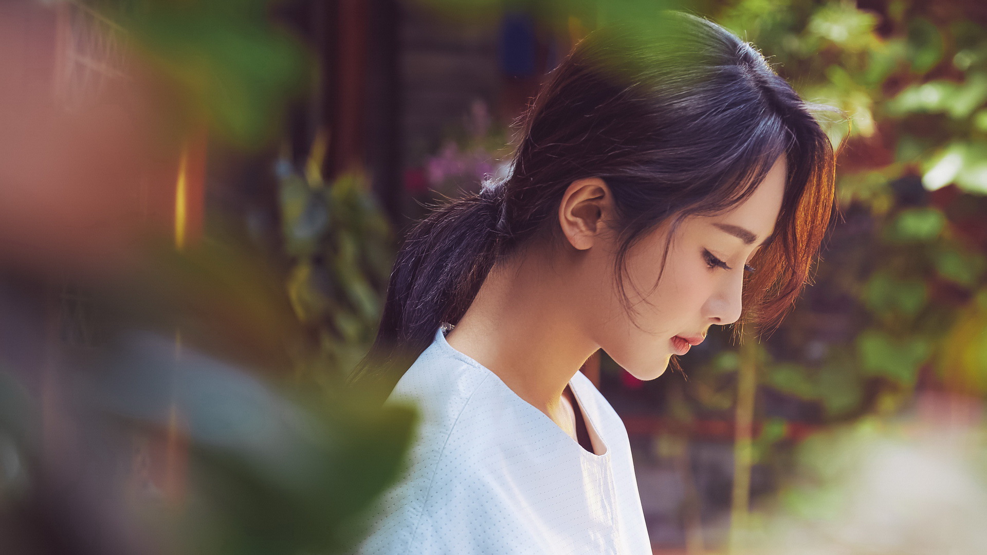 杨紫低头桌面高清壁纸