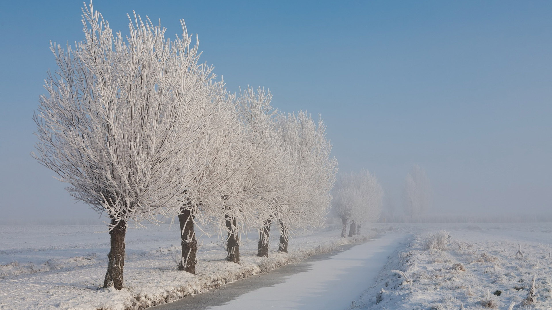 白茫茫雪景桌面高清壁纸