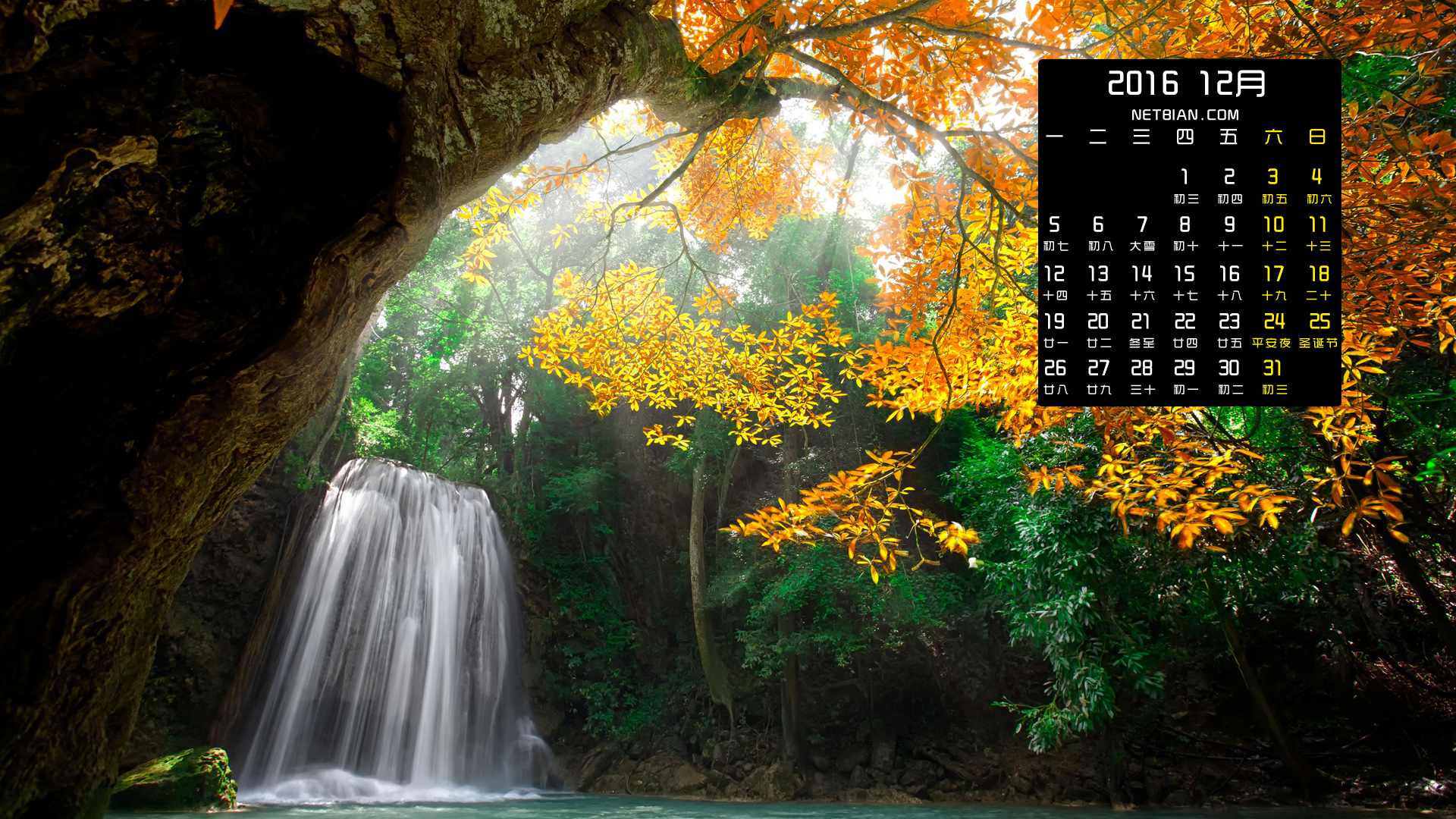 老树自然瀑布风景2016年12月日历桌面高清壁纸