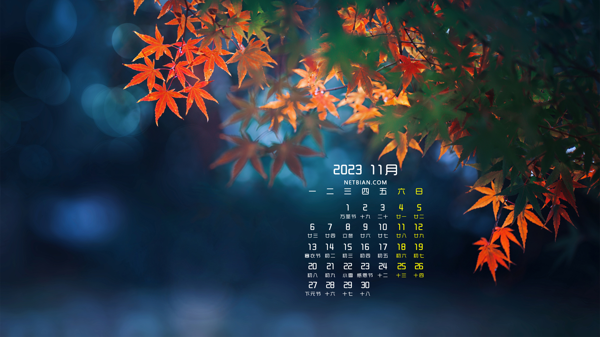 秋天枫叶2023-11月日历高清壁纸桌面背景图
