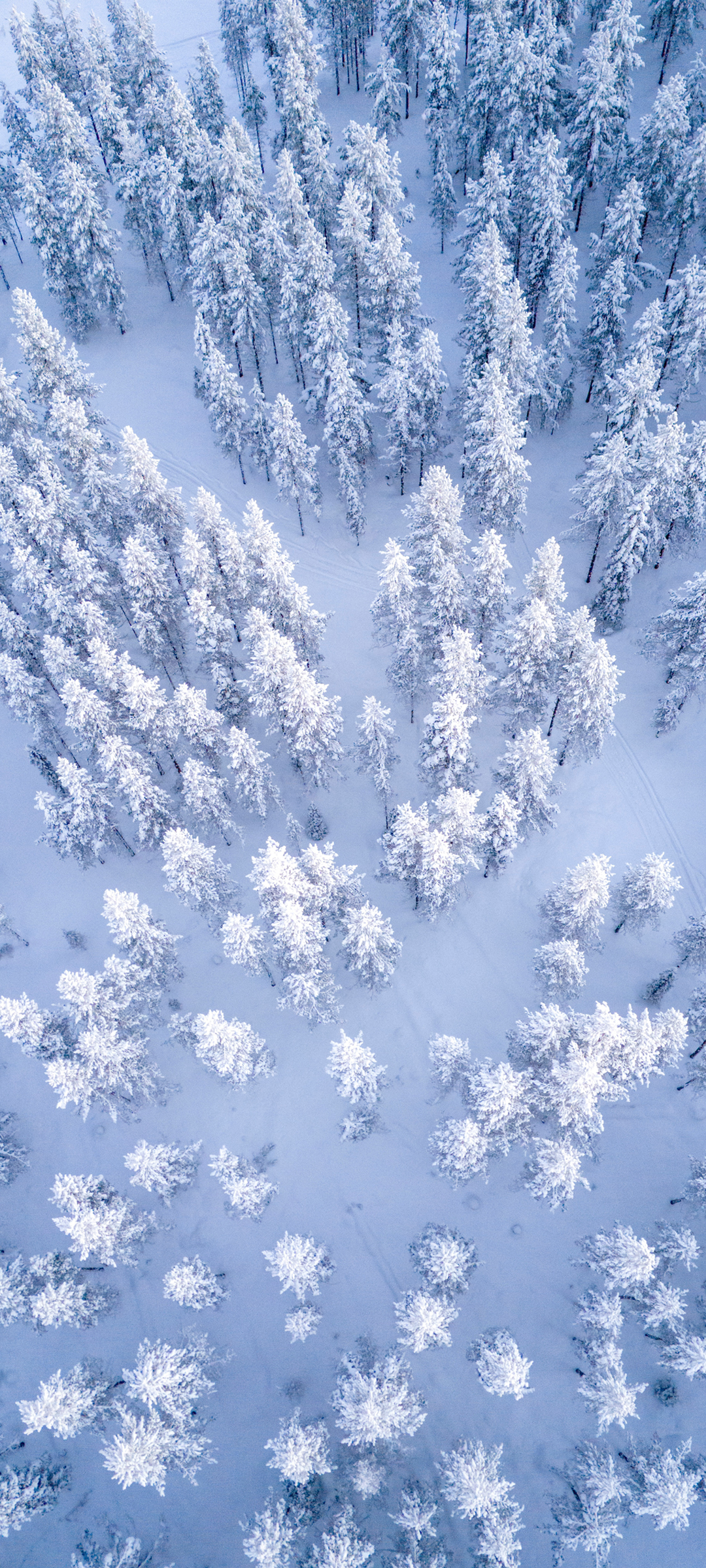 冬天森林雪景鸟瞰风景高清手机壁纸图片