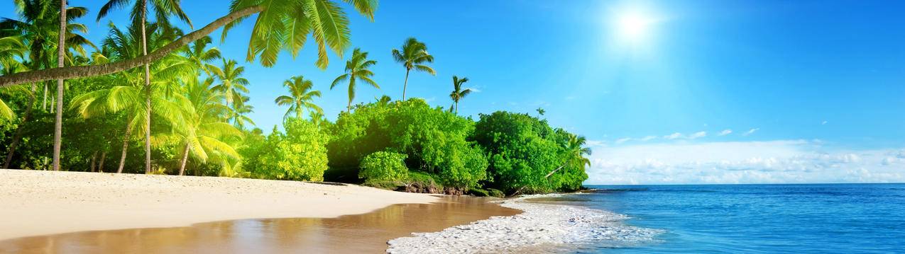 蔚蓝的大海 阳光 棕榈树 海岸 美丽海滩5120x1440风景高清壁纸