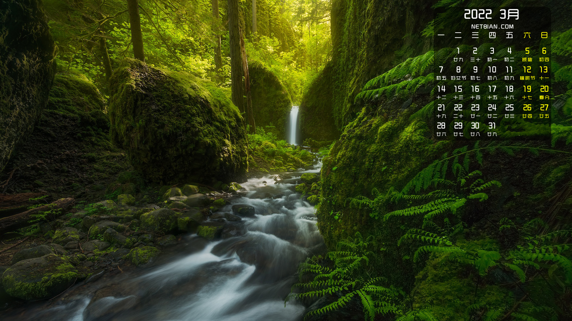 森林小溪蕨类植物风景2022年3月日历桌面高清壁纸护眼