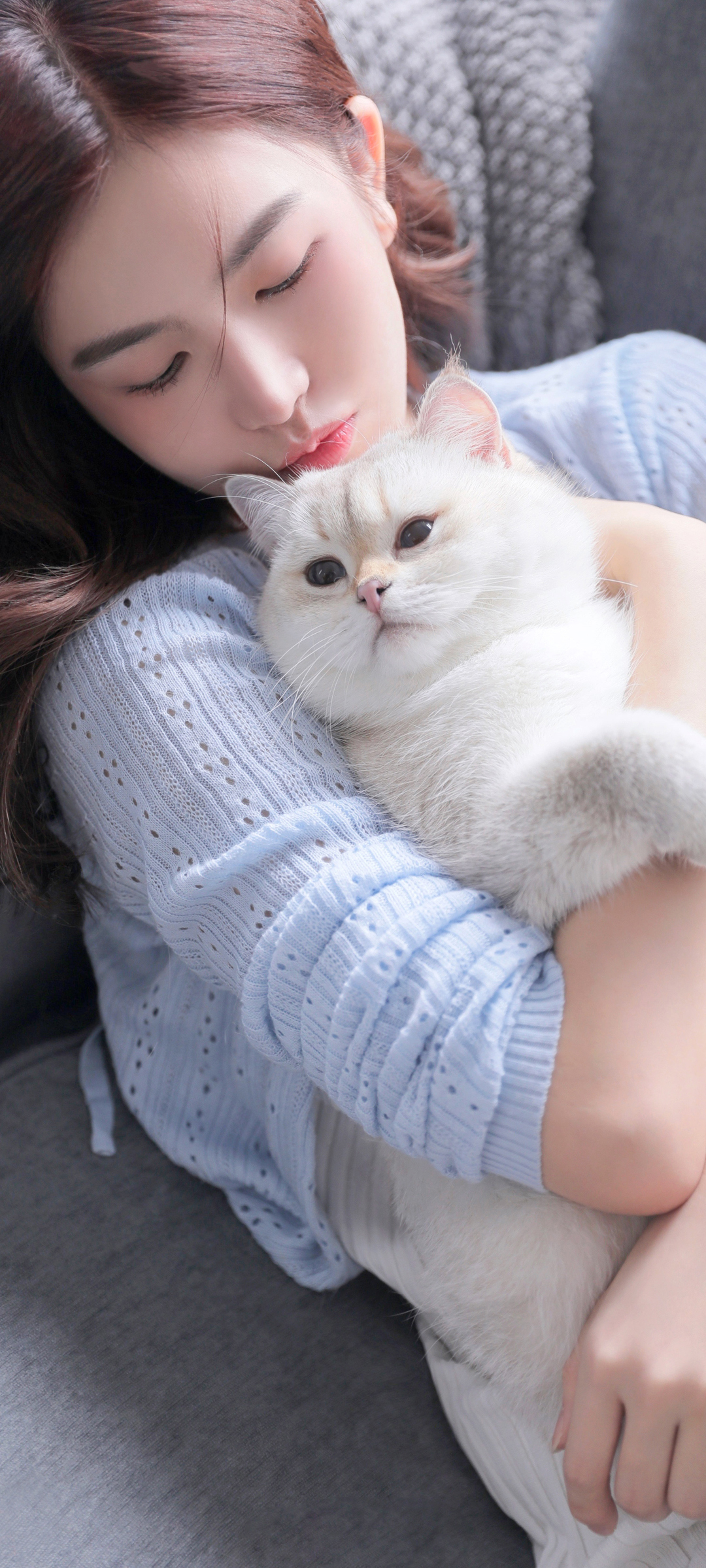 江亦祺 美女和猫高清手机壁纸