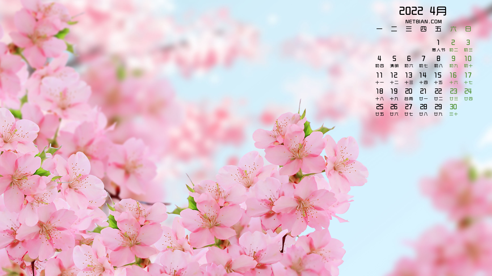 樱花2022年4月日历桌面高清壁纸