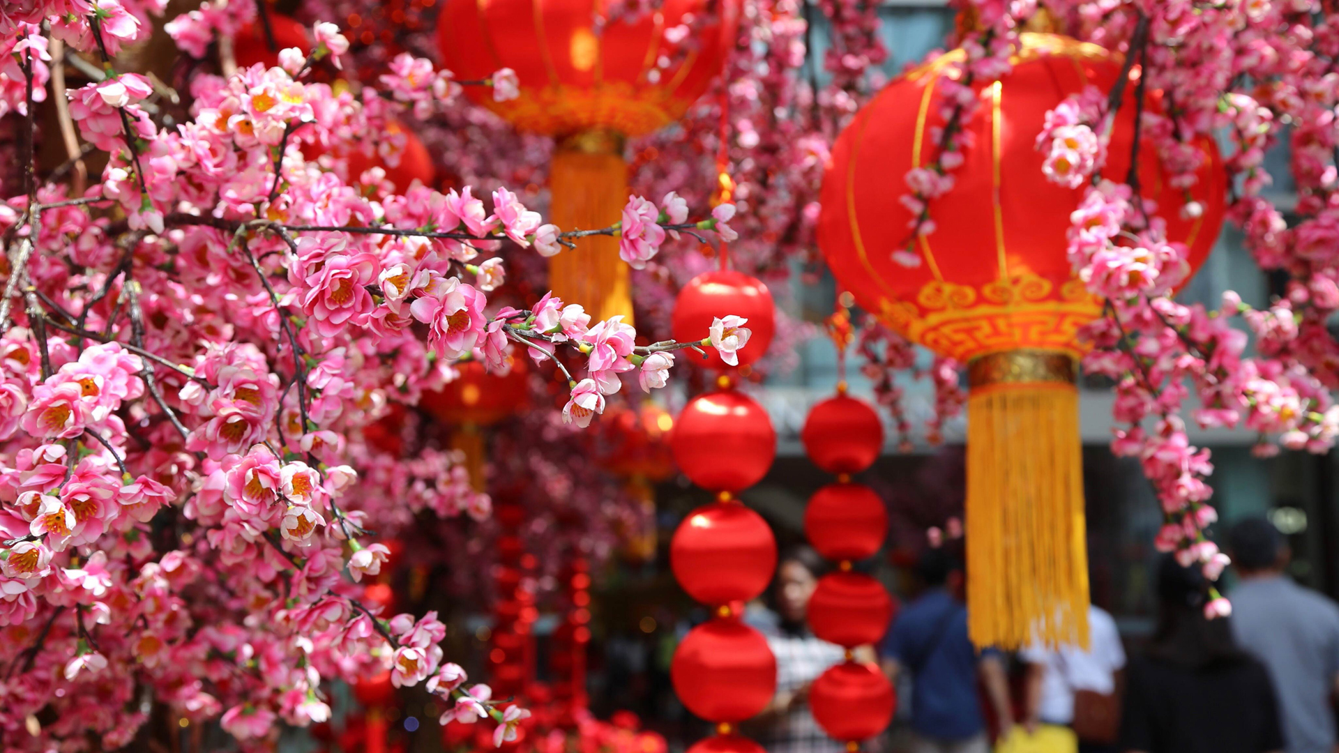 春节 桃花 红灯笼 喜庆 桌面 高清壁纸