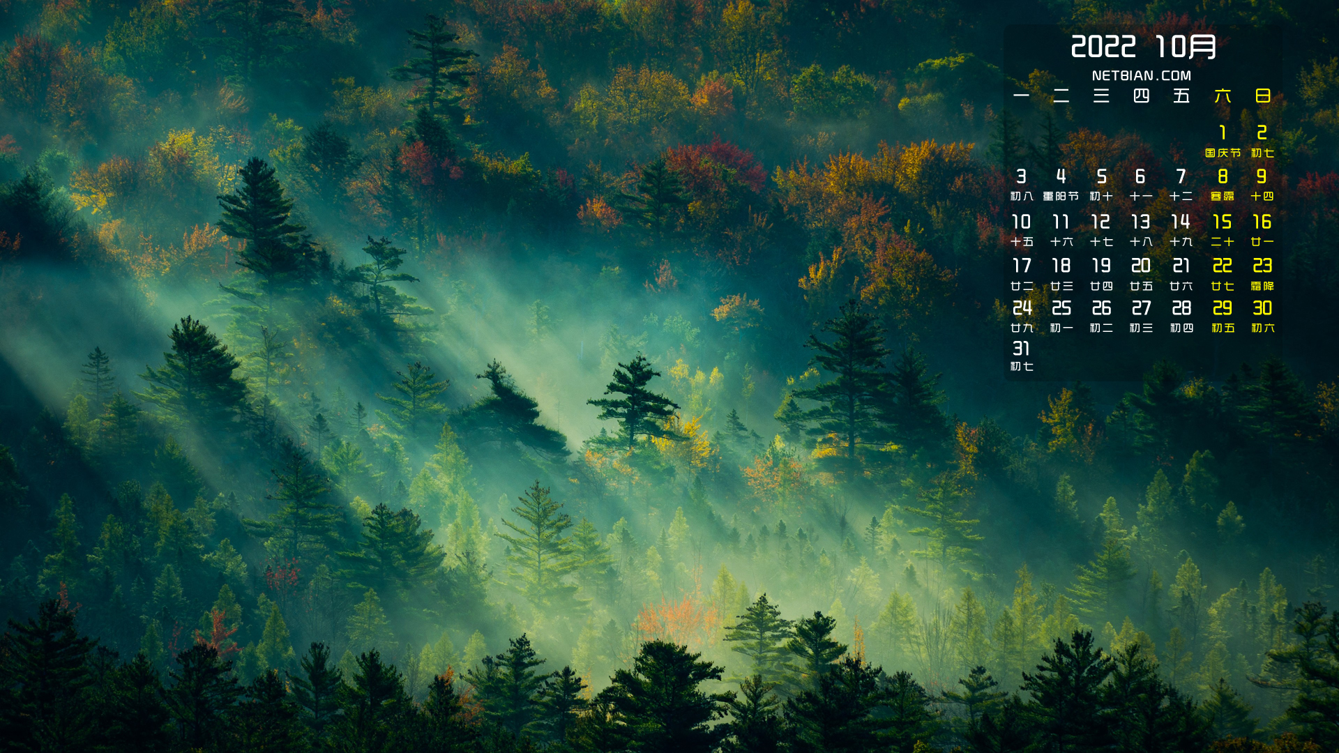 树林阳光风景2022年10月日历桌面高清壁纸