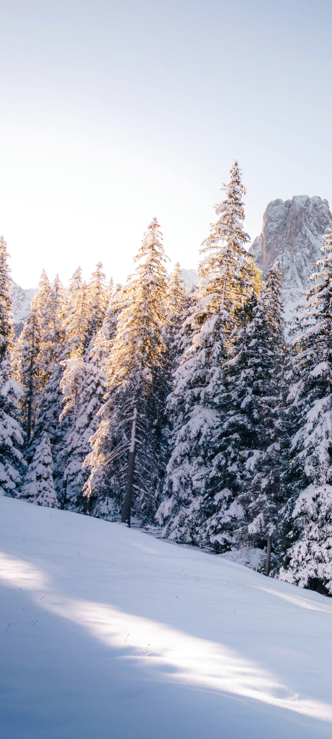 风景 冬季 雪景 树 雪地 高清手机 桌面 壁纸