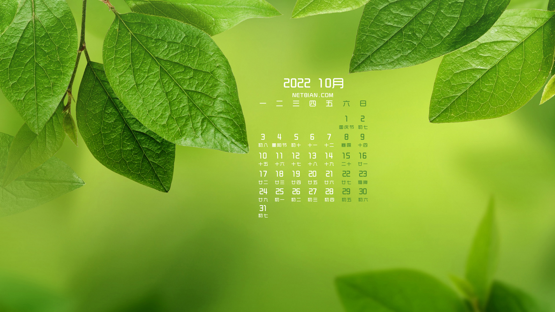 绿叶 2022年10月日历桌面高清壁纸 护眼