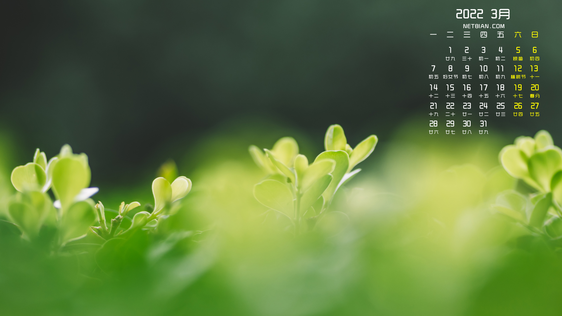 春天绿发2022年3月日历桌面高清壁纸护眼