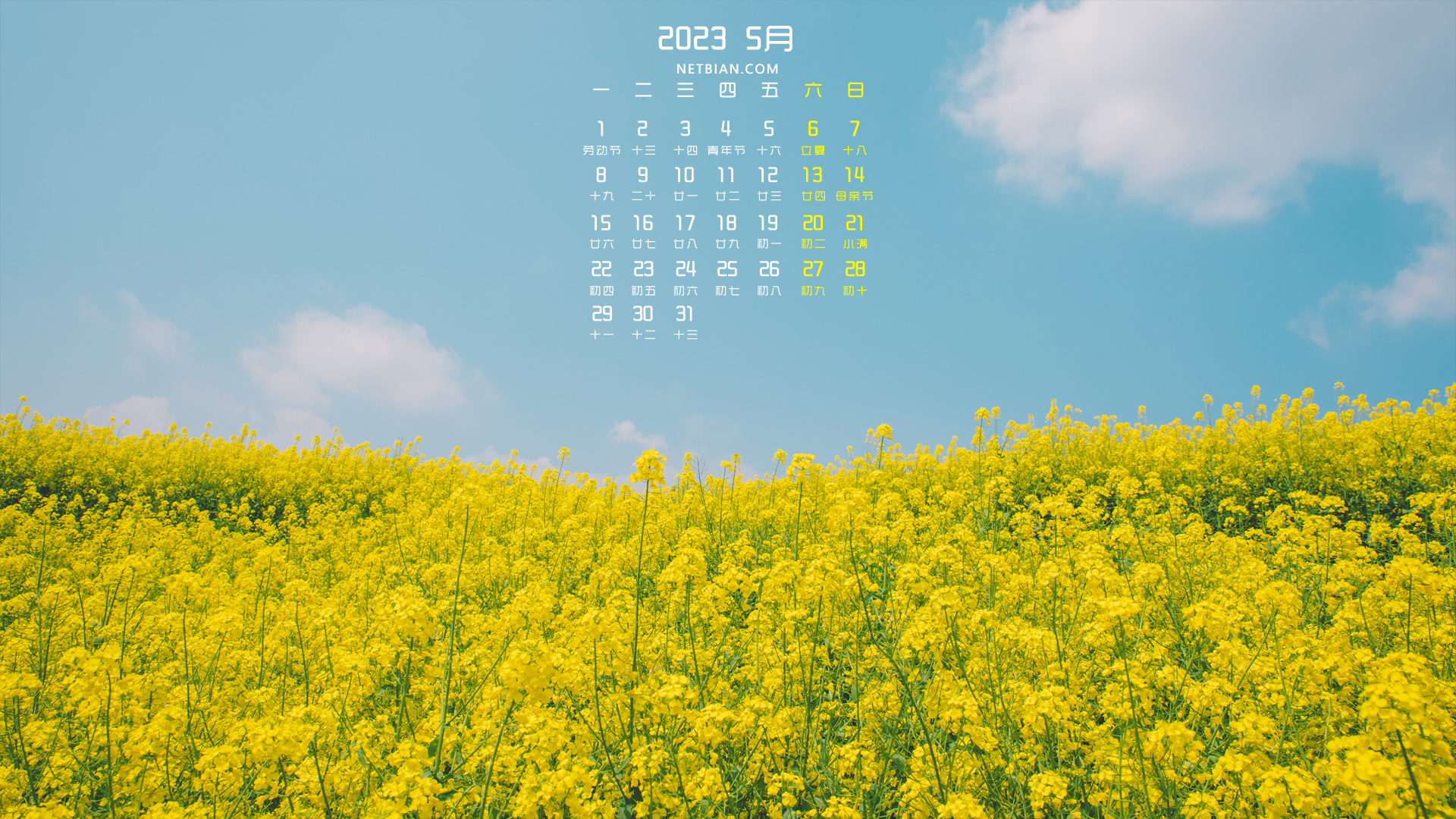 油菜花 天空 清新风景 2023-5月日历精选桌面高清壁纸