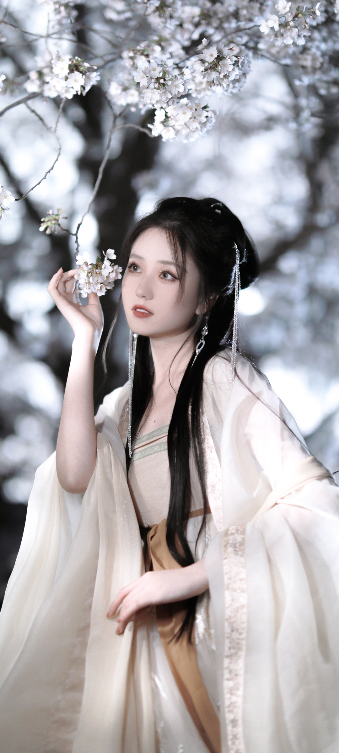 古风美女 梅花 唯美 高清手机图片