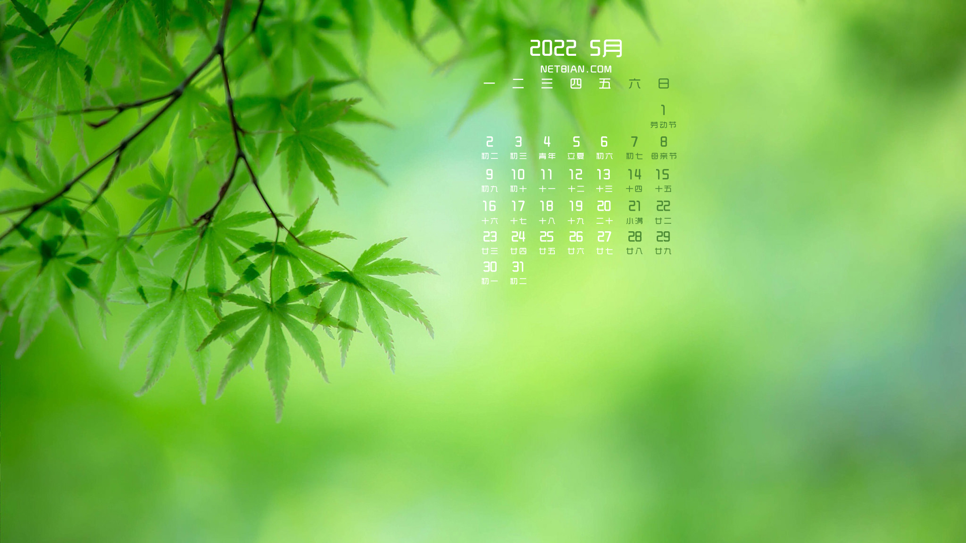 清新护眼绿叶2022年5月日历桌面高清壁纸