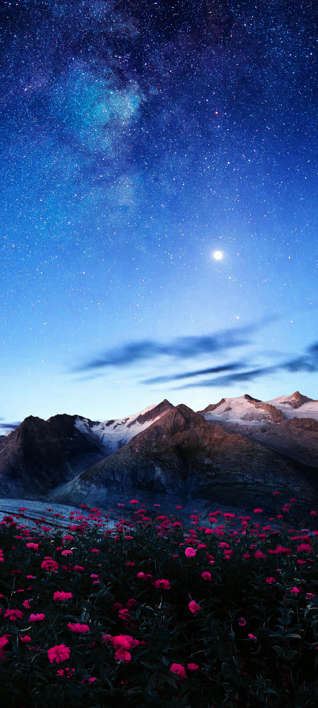 星空 雪山 花 风景全屏高清手机壁纸图片
