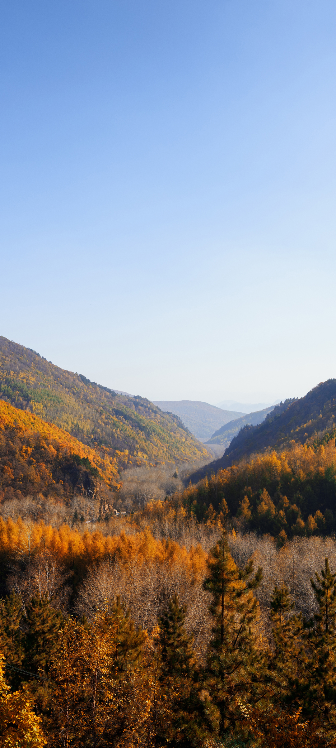 大山的秋天风景高清手机图片