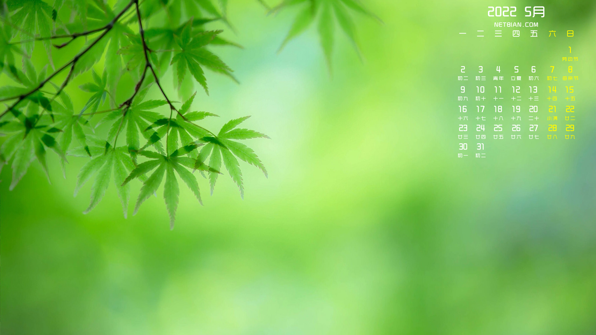 护眼绿叶背景2022年5月日历桌面高清壁纸