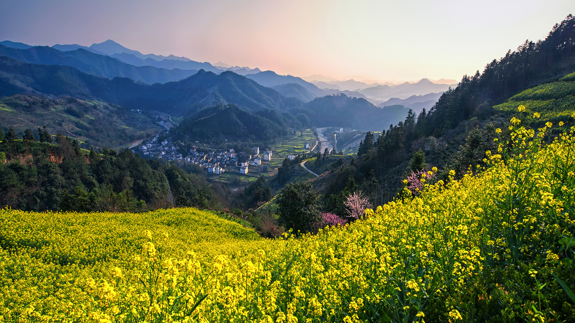 春天 山村 房子 油菜花 群山风景高清壁纸