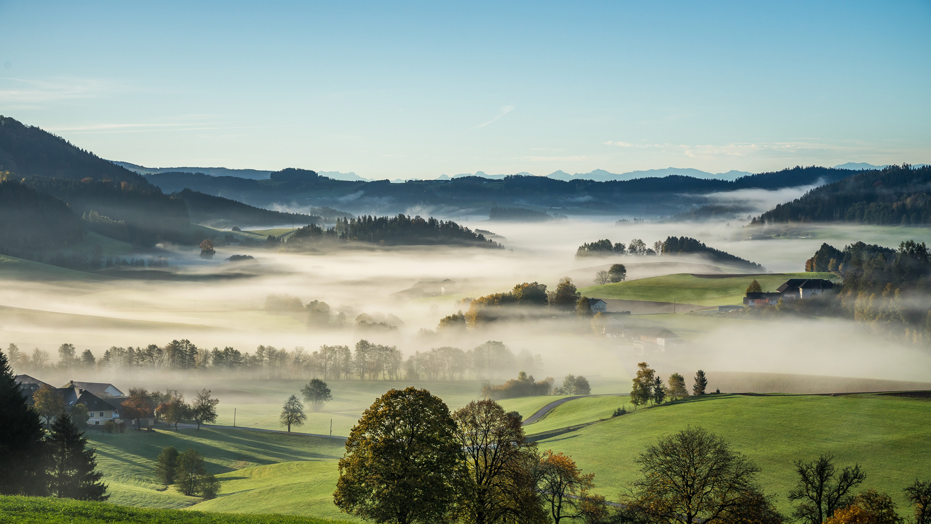 乡村 雾 奥地利 自然 树木 草地 风景 桌面 高清壁纸