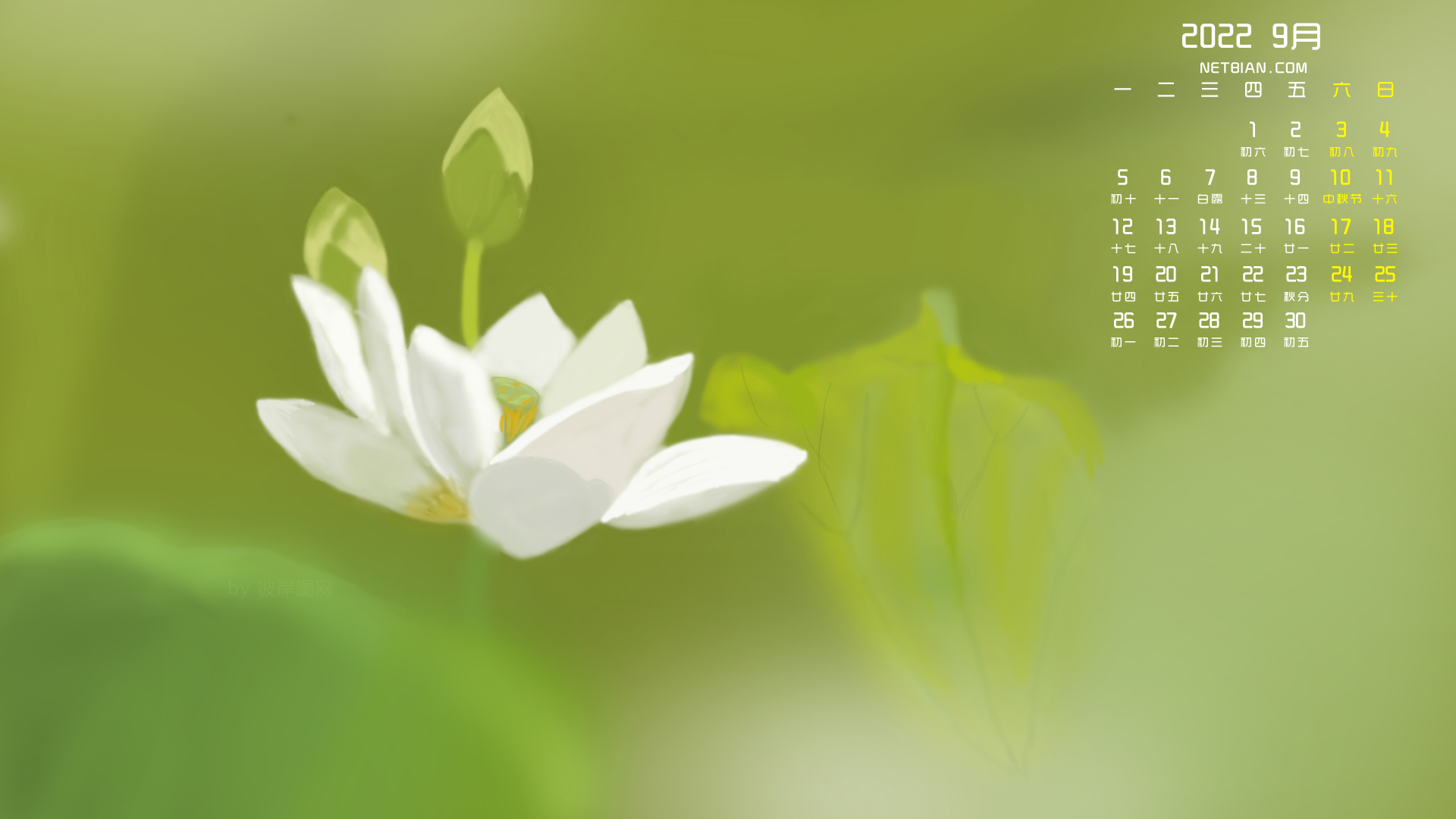 原创荷花2022年9月日历桌面高清壁纸