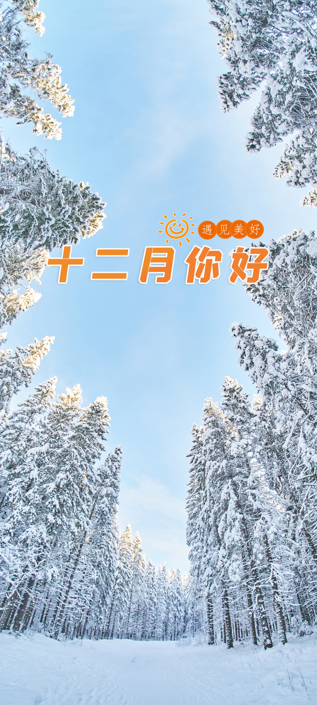 十二月你好 冬天 雪景 树林 风景 高清手机 壁纸