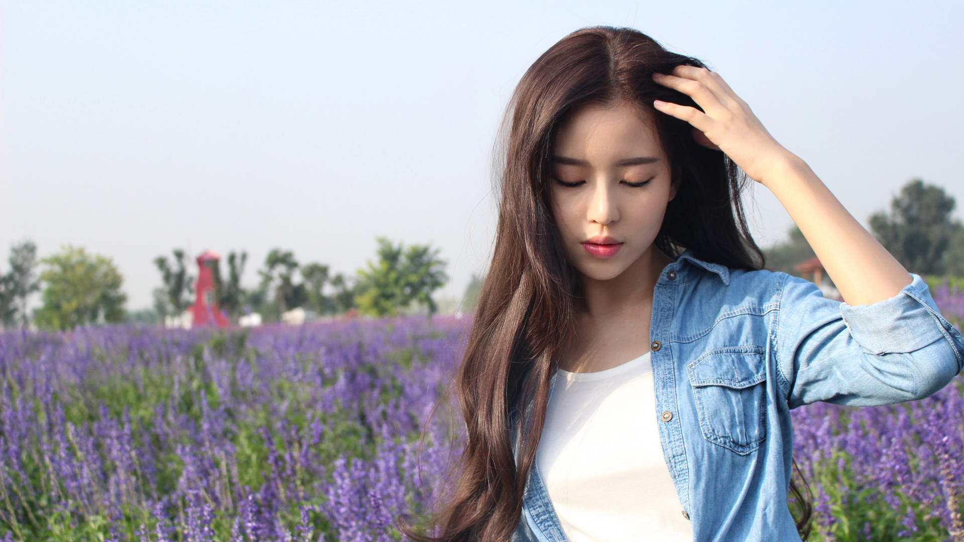 紫色薰衣草 长发美女 花海 清纯美女高清壁纸