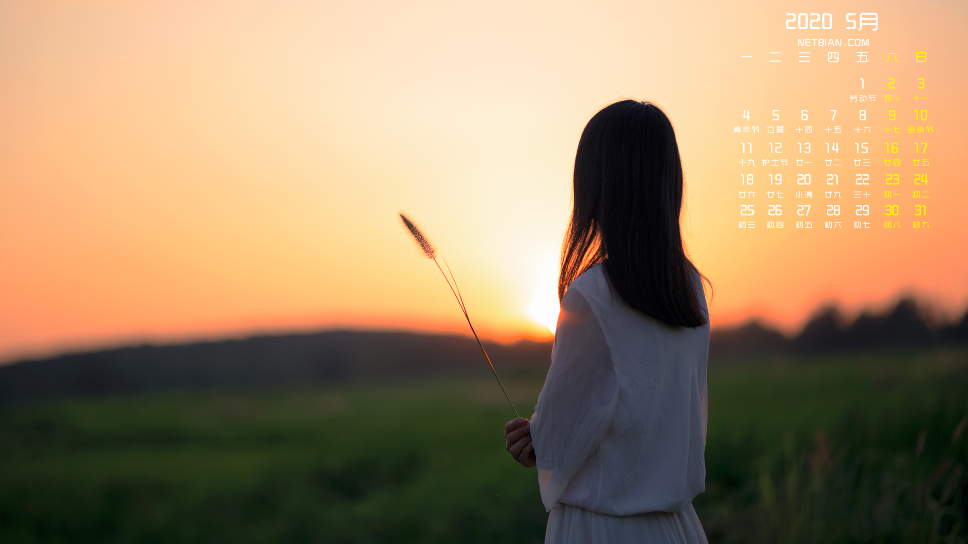 女孩唯美背影2020年5月日历桌面高清壁纸