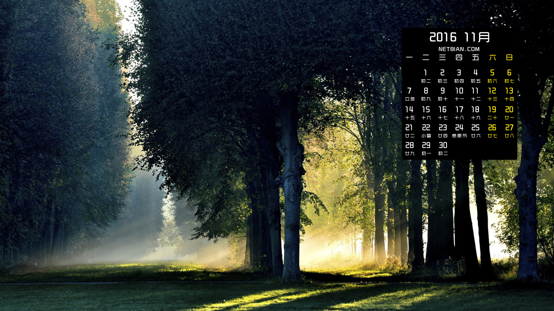 早晨秋天树林风景2016年11月日历桌面高清壁纸