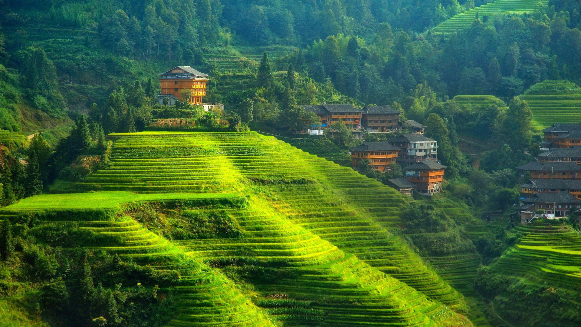 常回家看看,山里人家,农村,家乡,绿地,田地,梯田,树林,山丘,风景桌面高清壁纸
