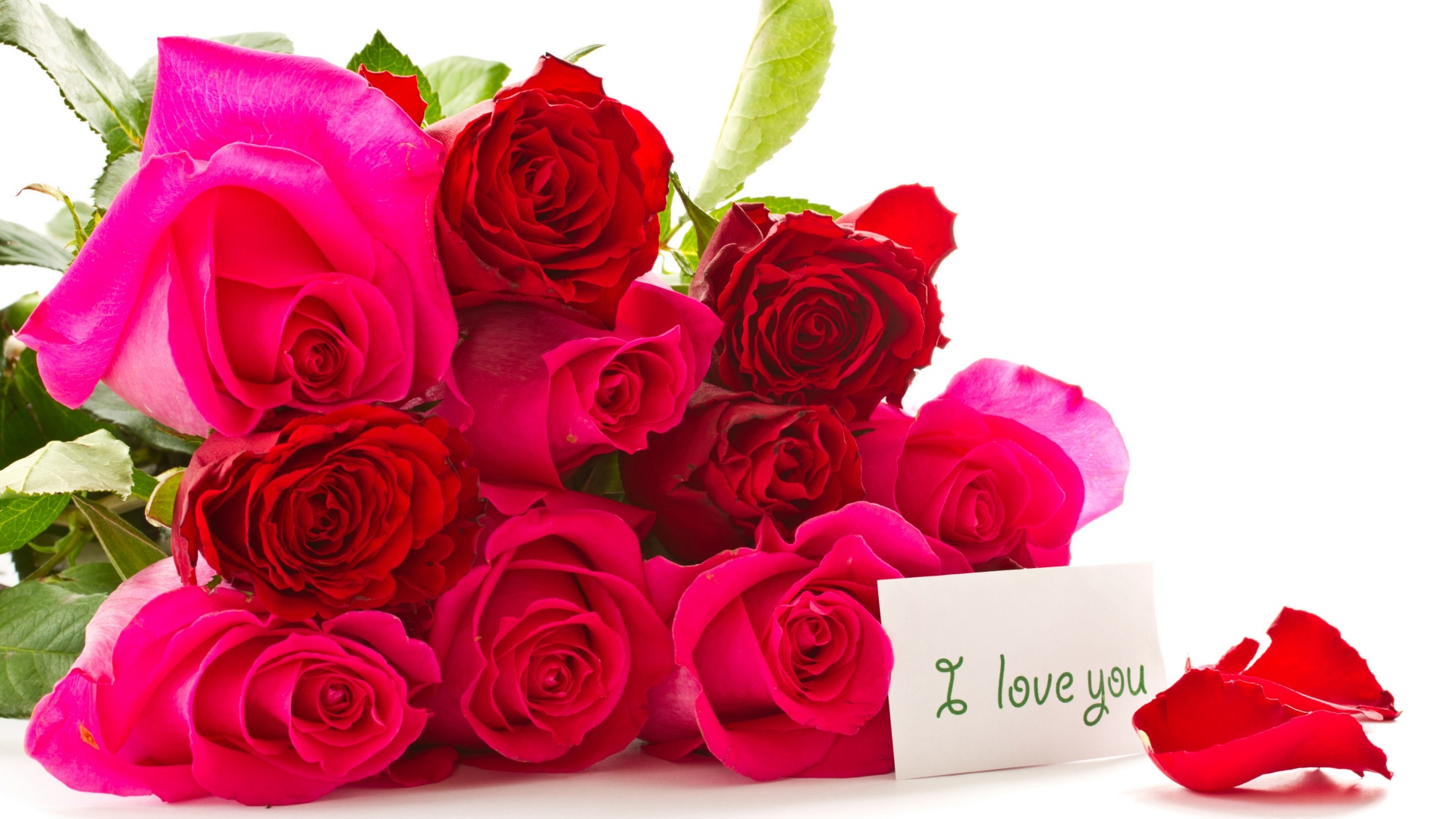 节日,玫瑰,i love you,桌面高清壁纸