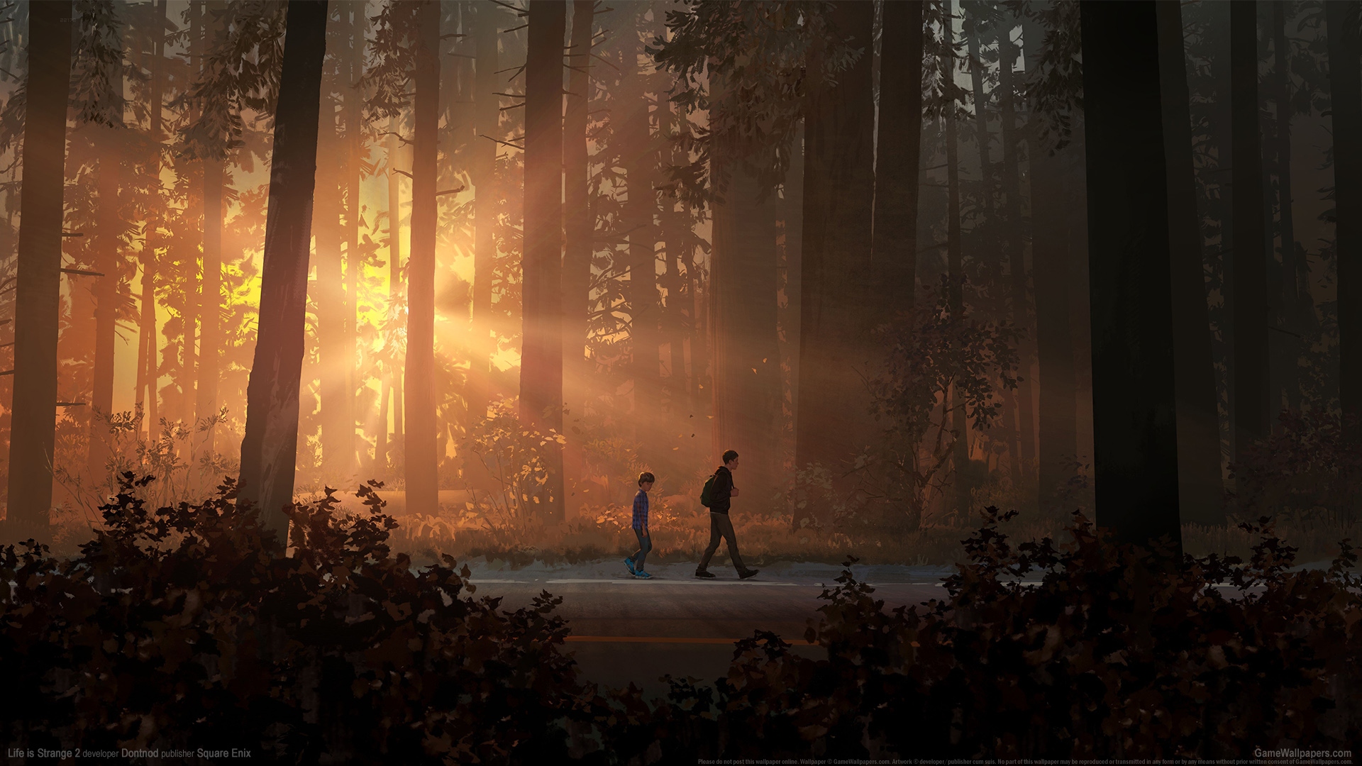 《Life is Strange 2》游戏高清壁纸
